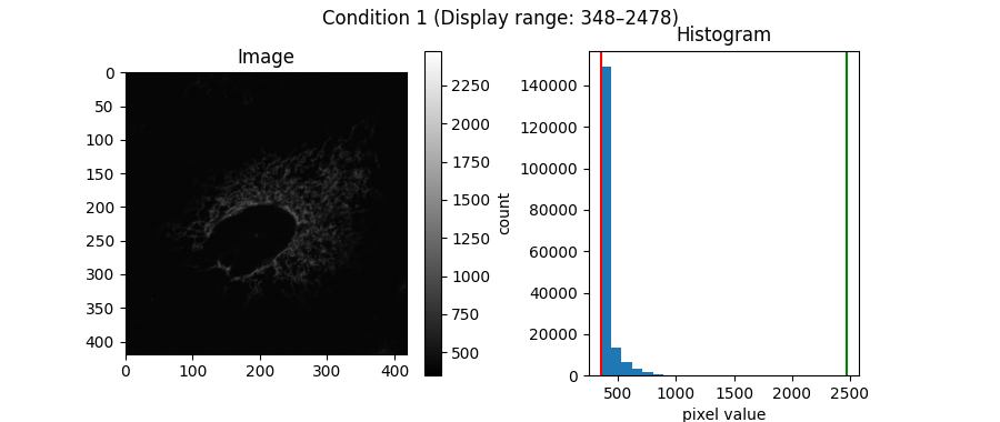 Condition 1 (Display range: 348–2478), Image, Histogram