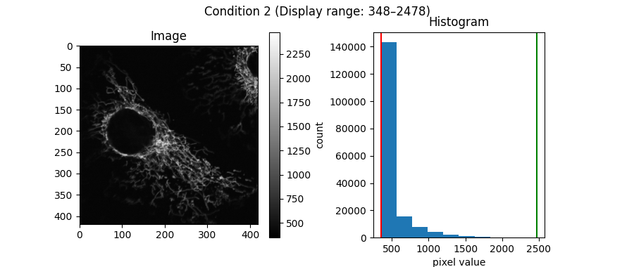 Condition 2 (Display range: 348–2478), Image, Histogram