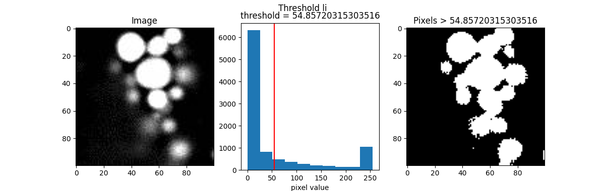 Threshold li, Image, threshold = 54.85720315303516, Pixels > 54.85720315303516