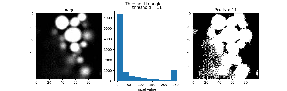 Threshold triangle, Image, threshold = 11, Pixels > 11